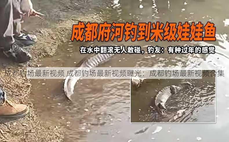 成都钓场最新视频 成都钓场最新视频曝光：成都钓场最新视频合集