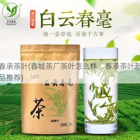 春承茶叶(春城茶厂茶叶怎么样：春承茶叶新品推荐)